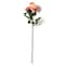 Coral English Rose Stem by Ashland&#xAE;